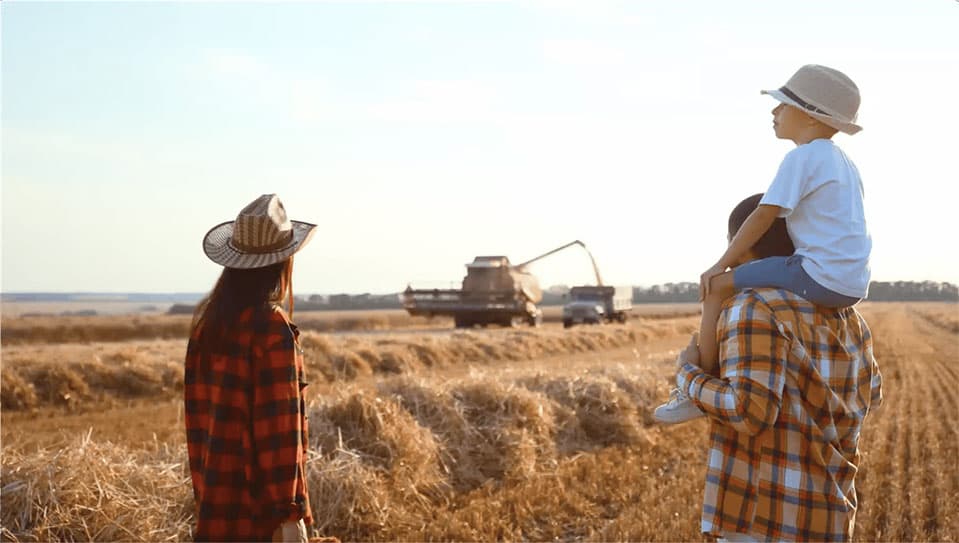 People looking out in the field